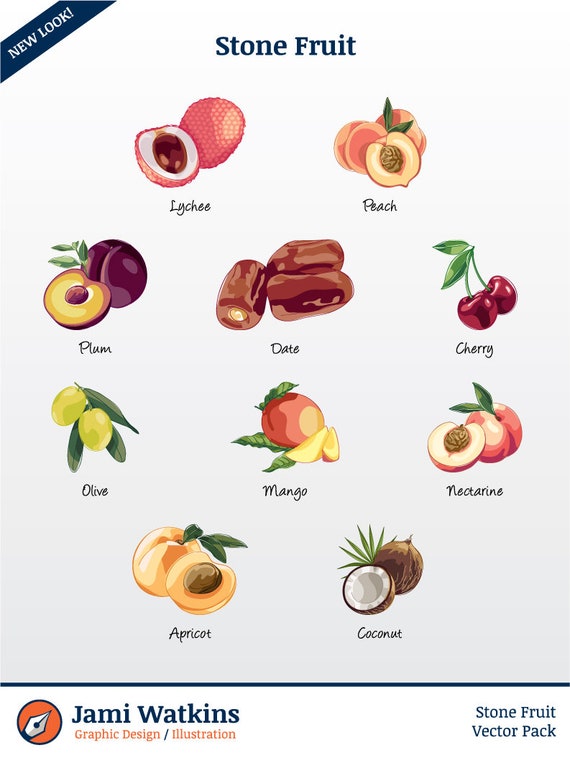 Stone Fruit Vector Illustration Pack set of 10 / Clip Art Etsy