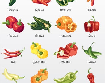 Peppers Vector Illustration Pack (Set of 16) / Clip Art [Files: PNG | EPS | PDF]