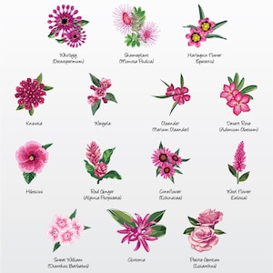 Florals (Pink Variety 3) Vector Illustration Pack (Set of 14) / Clip Art [Files: PNG | EPS | PDF]
