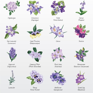 Pacchetto di illustrazioni vettoriali floreali (varietà viola 1) (set di 16) / Clip Art [File: PNG / EPS / PDF]