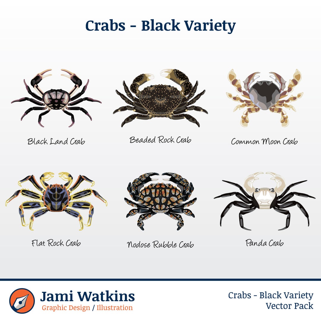 Black Crabs Vector Illustration Pack set of 6 / Clip Art Etsy