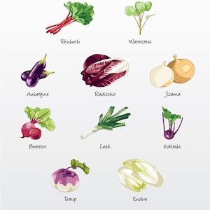 Vegetables (Variety) Vector Illustration Pack (Set of 10) / Clip Art [Files: PNG | EPS | PDF]