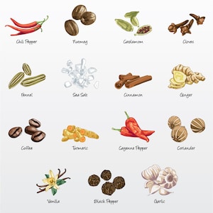 Puede incluir: Una ilustración colorida de 15 especias de cocina comunes, incluyendo chile, nuez moscada, cardamomo, clavo, hinojo, sal marina, canela, jengibre, café, cúrcuma, pimienta de cayena, cilantro, vainilla, pimienta negra y ajo. La ilustración está etiquetada con el nombre de cada especia.