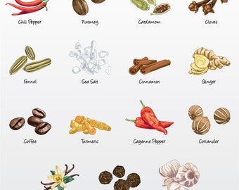 Kitchen Spices Vector Illustration Pack (Set of 15) / Clip Art [Files: PNG | EPS | PDF]