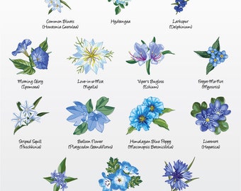 Florals (Blue Variety 1) Vector Illustration Pack (Set of 14) / Clip Art [Files: PNG | EPS | PDF]