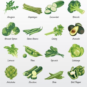 May include: Illustration of 16 different green vegetables, including arugula, asparagus, cucumber, broccoli, brussel sprout, green beans, celery, avocado, lettuce, peas, spinach, cabbage, artichoke, zucchini, okra, and bell pepper. The title "Greens" is at the top of the image. The text "Jami Watkins Graphic Design / Illustration" is at the bottom of the image. The text "Greens Vector Pack" is also at the bottom of the image.