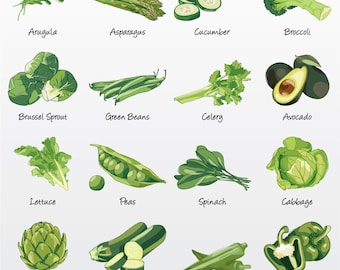 Green Vegetables/Fruit Vector Illustration Pack (Set of 16) / Clip Art [Files: PNG | EPS | PDF]