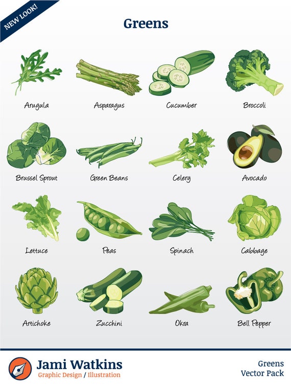Green Vegetables/fruit Vector Illustration Pack set of 16 / Etsy