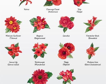 Florals (Red Variety 2) Vector Illustration Pack (Set of 13) / Clip Art [Files: PNG | EPS | PDF]