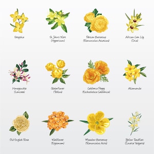 Pack d'illustrations vectorielles de fleurs (jaune, variété 3) (lot de 12) / clipart [fichiers : PNG | BPA | PDF]