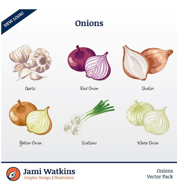 Shallot PNG Transparent Images Free Download, Vector Files