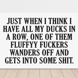 Ducks In A Row / Work From Home / Funny Desk Signs / Funny Office Gifts / Curse Word Gifts