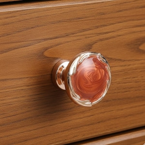 May include: Close-up of a decorative cabinet knob. The knob features a copper-colored base and a round, reddish-brown center with a swirling pattern. The knob is accented with a silver-colored trim and is mounted on a wooden cabinet.