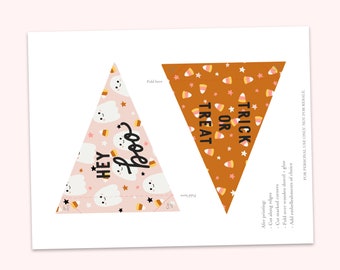 Puede incluir: Bandera de Halloween imprimible con dos diseños. Un lado presenta un fondo rosa con un fantasma y las palabras "Hey Boo". El otro lado presenta un fondo naranja con un patrón de maíz dulce y las palabras "Trick or Treat".