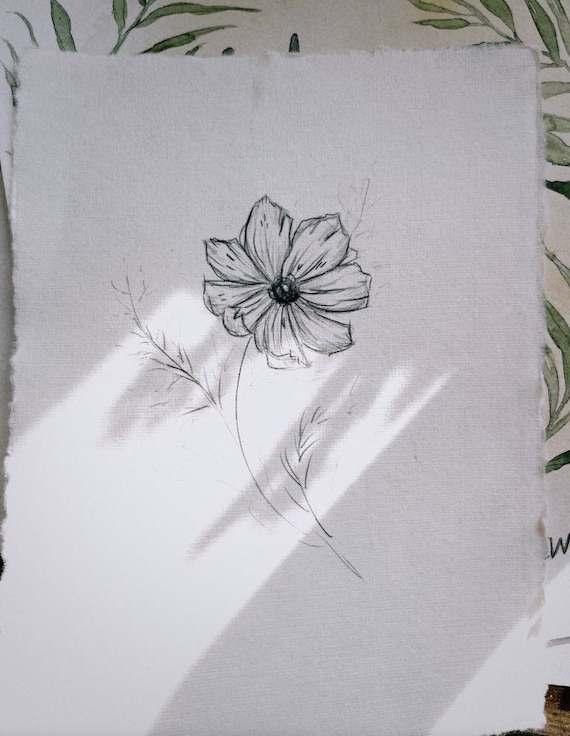 コスモスの花の鉛筆スケッチ、オリジナルの花のアート（8x6） - Etsy 日本