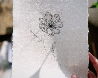 コスモスの花の鉛筆スケッチ、オリジナルの花のアート（8x6） - Etsy 日本
