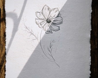 コスモスの花の鉛筆スケッチ、オリジナルの花のアート（8x6） - Etsy 日本