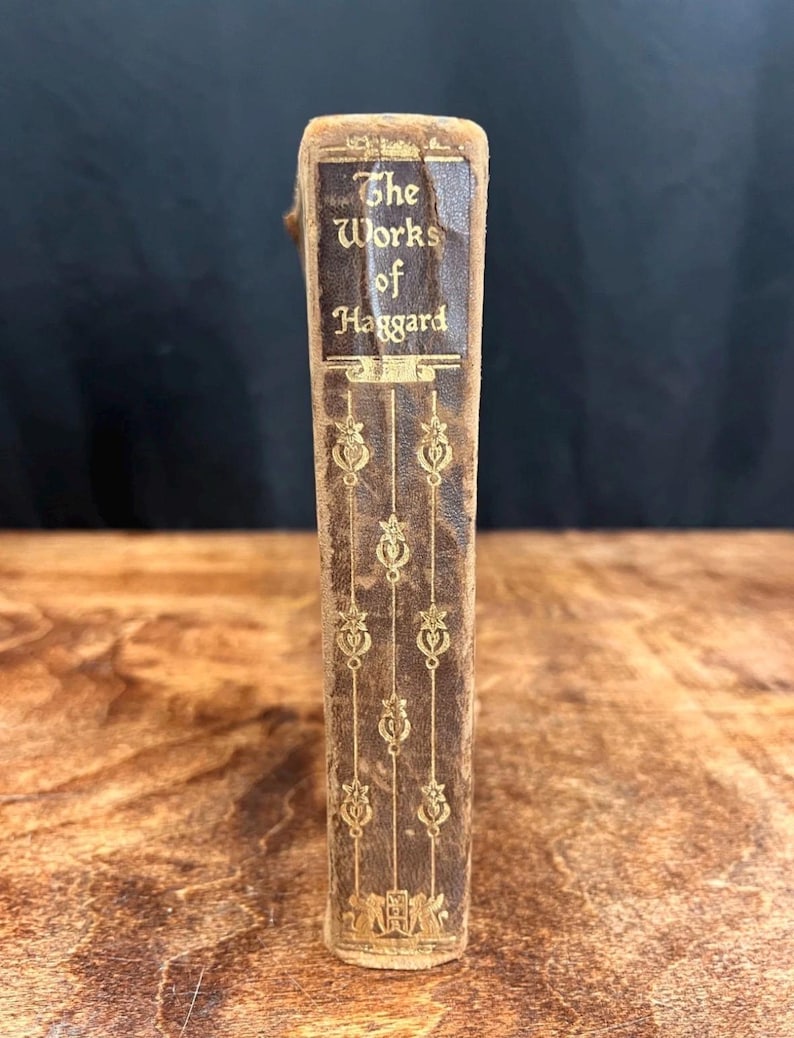 以下が含まれることがあります： 金色の文字で「The Works of Haggard」と書かれた、ヴィンテージ本の背表紙。茶色の革の背表紙には、金色の花の模様が施されています。本は暗い背景と木製の表面に置かれています。