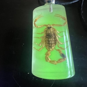 Real Scorpion Pendant Necklace In Glow In Dark Resin