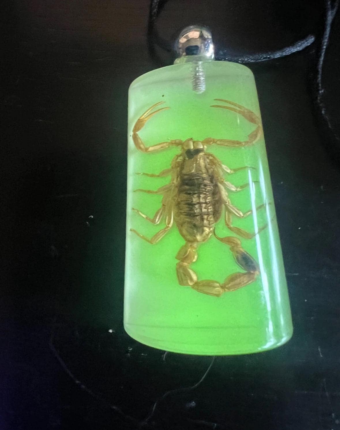 Real Scorpion Pendant Necklace In Glow In Dark Resin