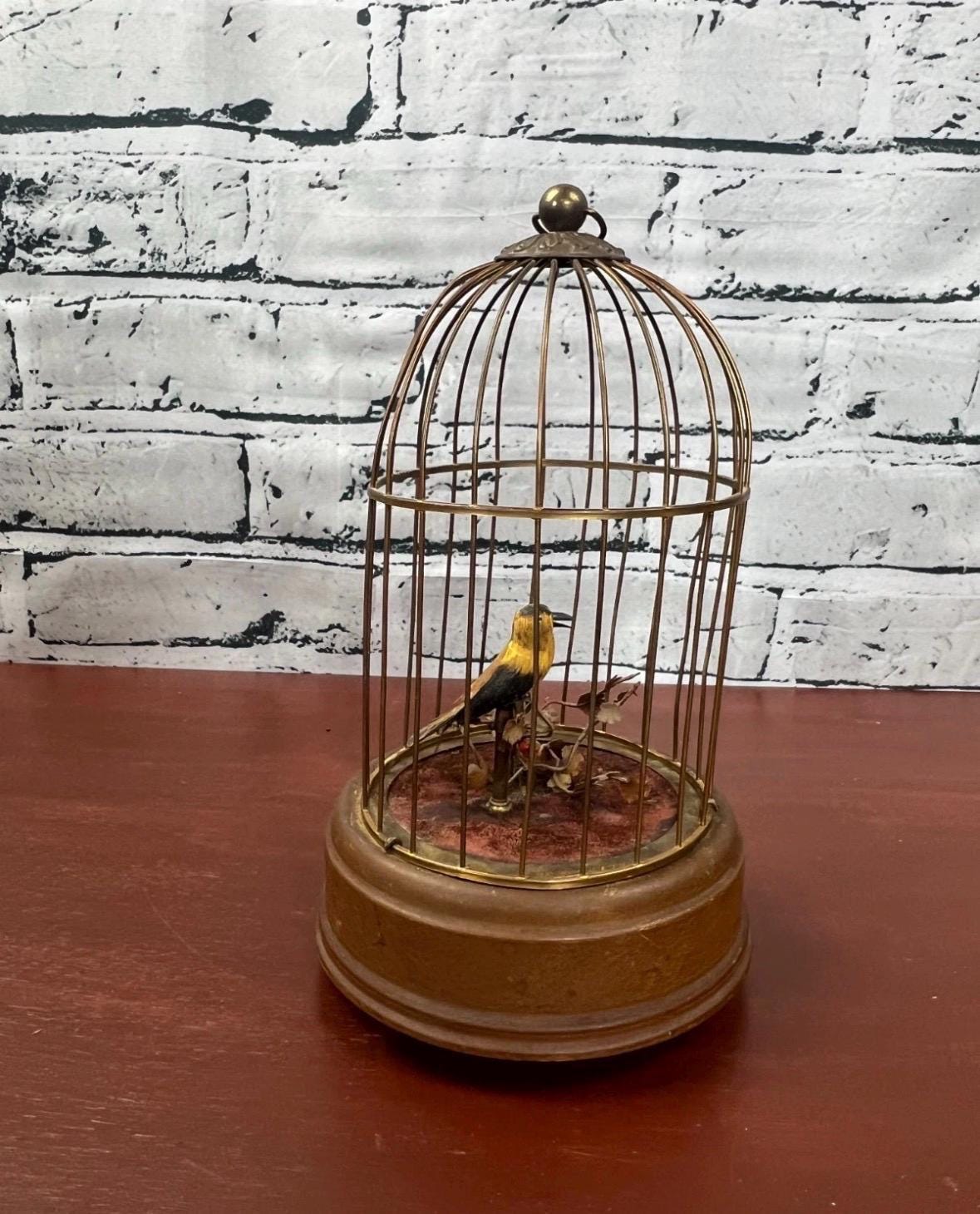 German Music Box Singing Bird - Etsy