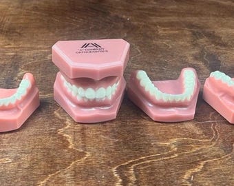 Vintage A Company Orthodontics Dental Teeth Models Lot of 5 Macabre