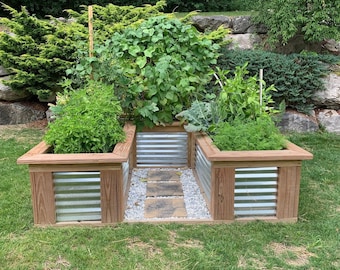 May include: Three raised garden beds made of wood and metal with a gravel pathway in between. The beds are filled with various plants, including leafy greens, herbs, and vines.