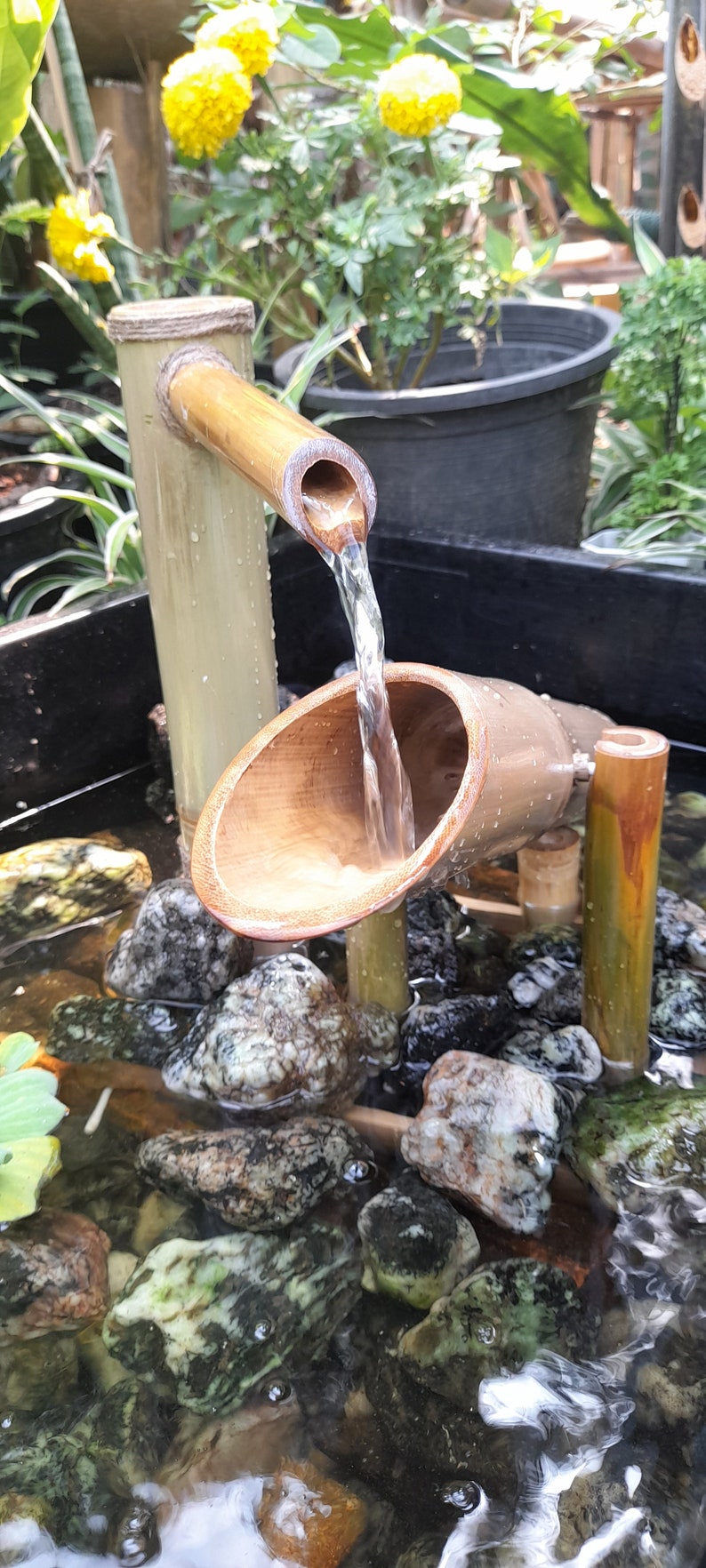 Shishi odoshi fountain with Large dumping bamboo, japanese style indoor/outdoor japanese style handmake fountain from real bamboo. image 5
