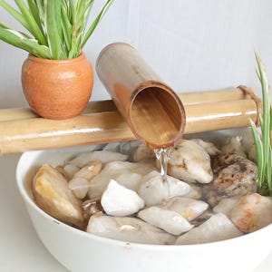 Può includere: Una fontana d'acqua in bambù con un beccuccio cavo che versa acqua in una ciotola bianca riempita di ciottoli di fiume bianchi e marrone chiaro. Un piccolo vaso in terracotta contenente una pianta a strisce verdi e bianche poggia sul telaio.
