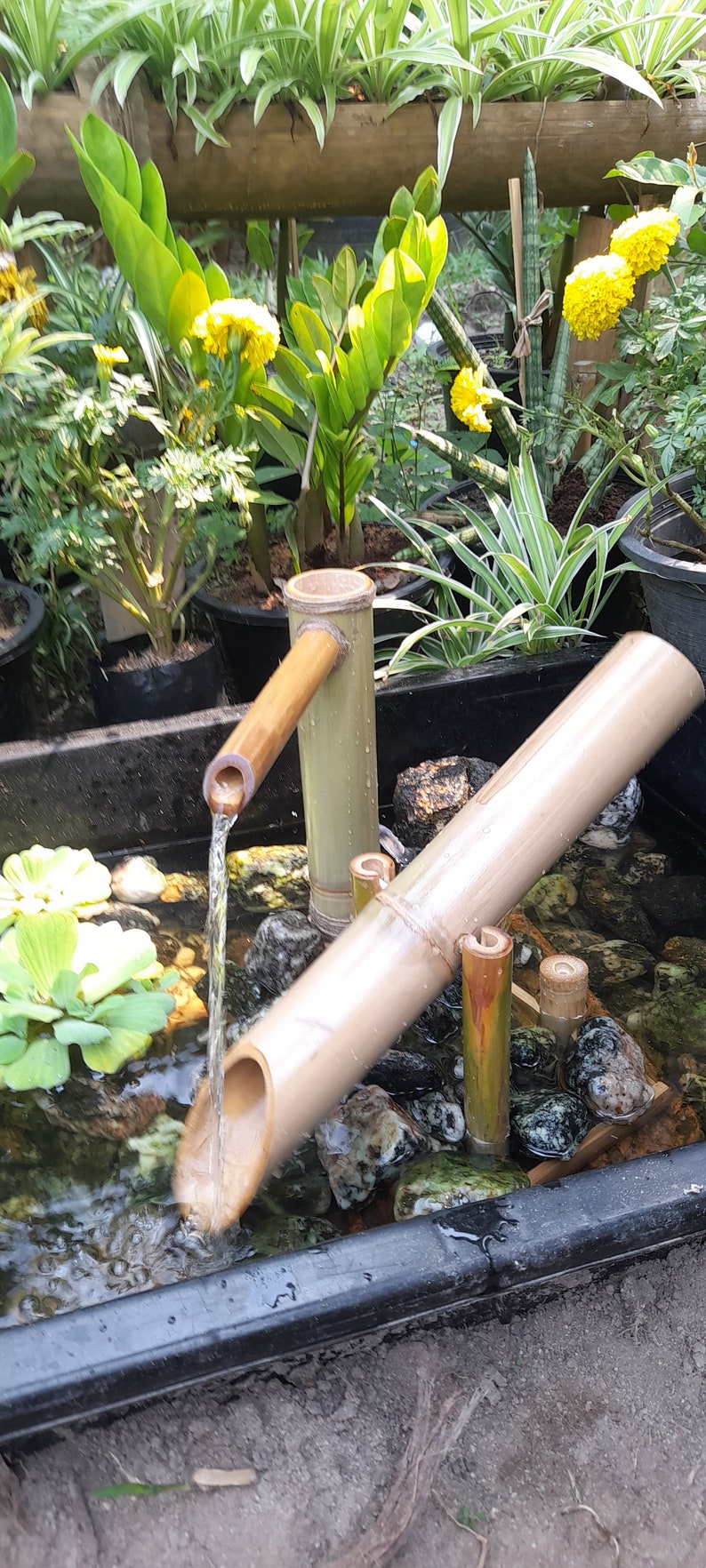 Shishi odoshi fountain with Large dumping bamboo, japanese style indoor/outdoor japanese style handmake fountain from real bamboo. image 3