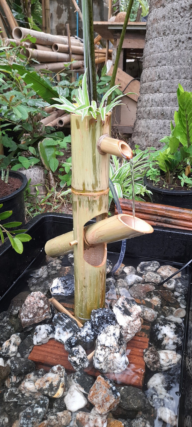 Shishi odoshi Japanese style fountain, outdoor fountain handmake fountain from real bamboo image 1