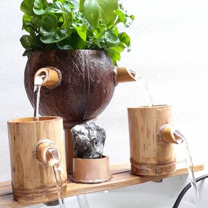 May include: A tabletop water fountain made of bamboo and coconut. The fountain features a coconut shell with a spout, two bamboo cylinders with spouts, and a white ceramic bowl. The fountain is surrounded by green plants.