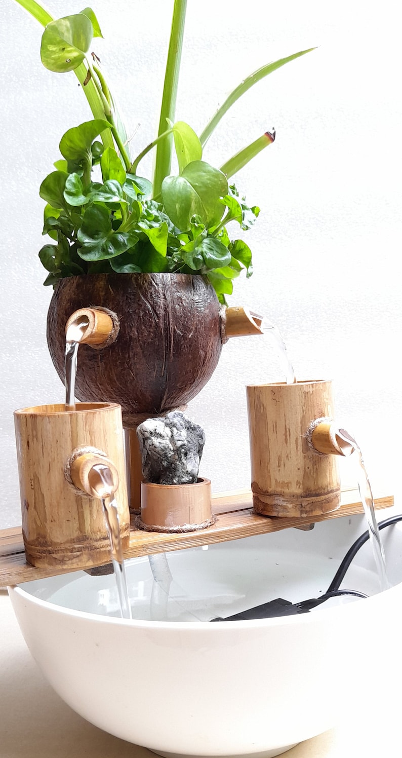 May include: A tabletop water fountain made of bamboo and coconut. The fountain features a coconut shell with a spout, two bamboo cylinders with spouts, and a white ceramic bowl. The fountain is surrounded by green plants.