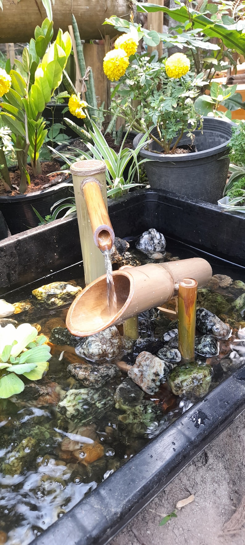 Shishi odoshi fountain with Large dumping bamboo, japanese style indoor/outdoor japanese style handmake fountain from real bamboo. image 1