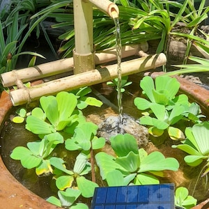 Handmade Bamboo Solar Water Fountain: Japanese Odoshi Style