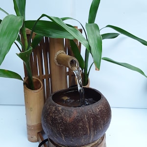 Puede incluir: Una pequeña fuente de agua de mesa hecha de bambú y una cáscara de coco. La fuente tiene un caño de bambú que vierte agua en la cáscara de coco. Dos plantas verdes crecen en macetas de bambú a cada lado de la fuente.
