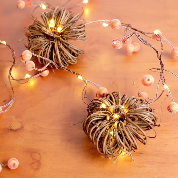 Pumpkin Berry String Lights Led Twinkle Lights 10ft 30LEDs w/ Remote - Decor