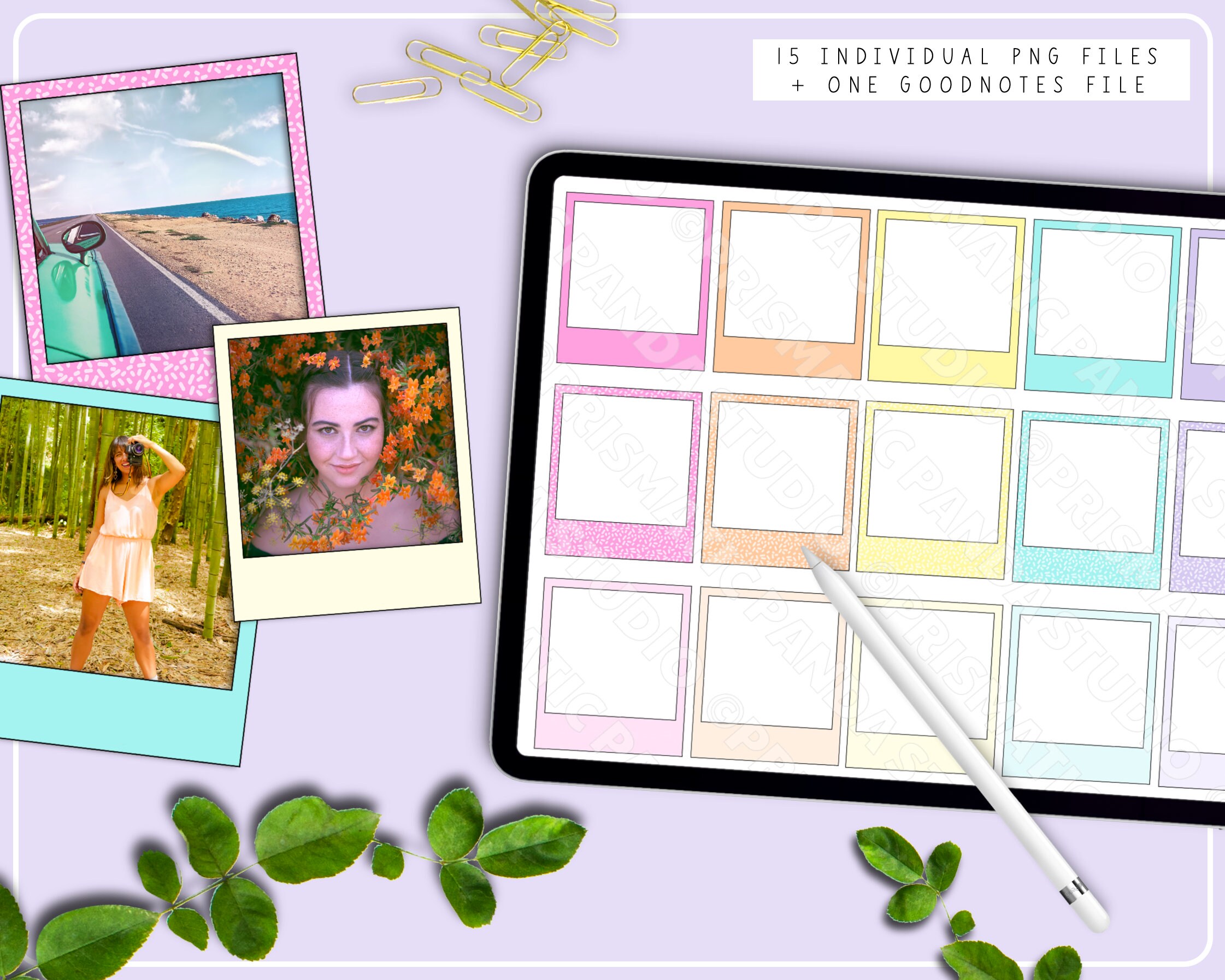 Digital Photo Frames Stickers Digital Instant Photo Frames Precropped