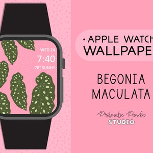 Apple Watch Wallpaper | Begonia Maculata | Houseplant Watch Face | Apple Watch Background