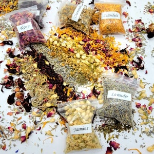 Bulk Dried Flowers for Resin, Soaps, Candles, Aromatherapy, and Food Decor  10g Bags Large Selection P 