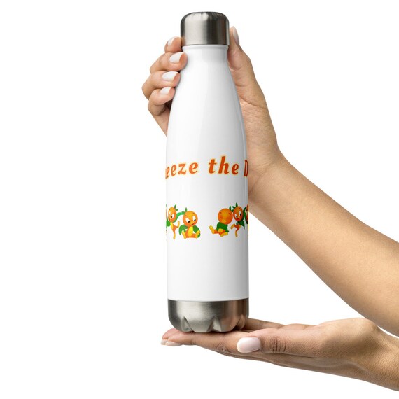 Stainless Steel Water Bottle Orange Bird Water Bottle Orange