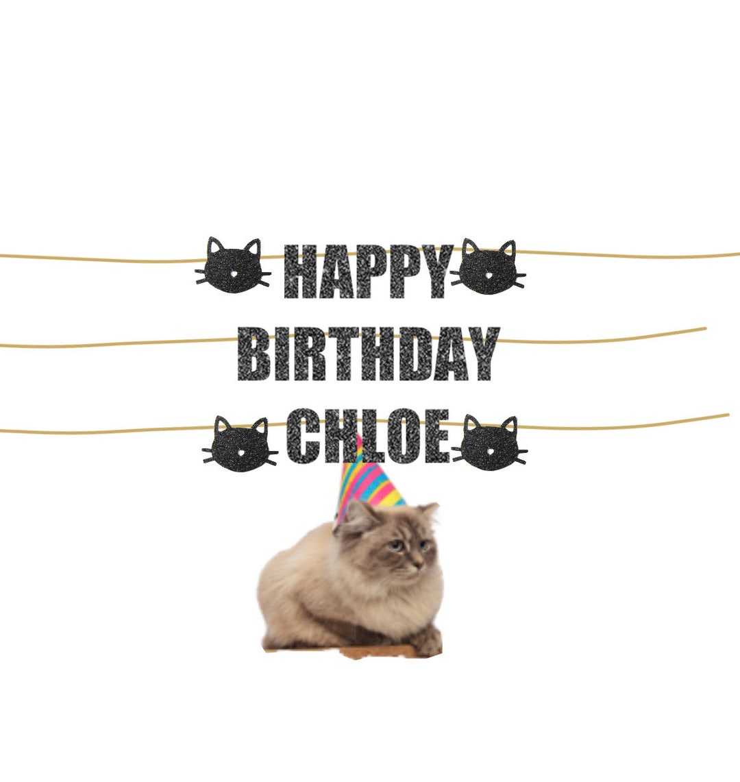 Elaliyi Cat Birthday Banner - Kitten Themed Party Decorations With Cat Faces & Paws For Kids