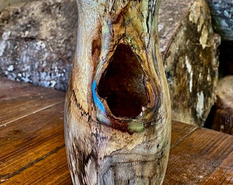 Hand Turned Spalted Camphor Wood Vase with Natural Limb Void
