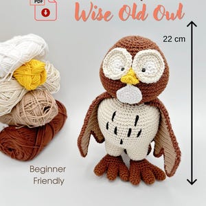 Wise Old Owl Crochet Pattern: Winnie The Pooh Owl Amigurumi (PDF Tutorial) Graduation gift