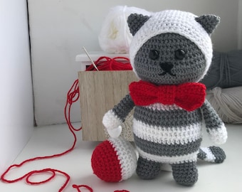 Süße Katze Häkelanleitung! Doktor die Katze Amigurumi Muster. Einfache Häkelanleitung Katze, einfache PDF-Anleitung, DIY Häkelspielzeug