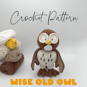 Wise Old Owl Crochet Pattern - Owl Winnie The Pooh Amigurumi crochet pattern, Crochet Pdf tutorial DIY