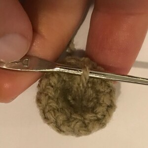 May include: A close-up of a crocheted circle in a muted green color. A crochet hook is threaded through the circle.