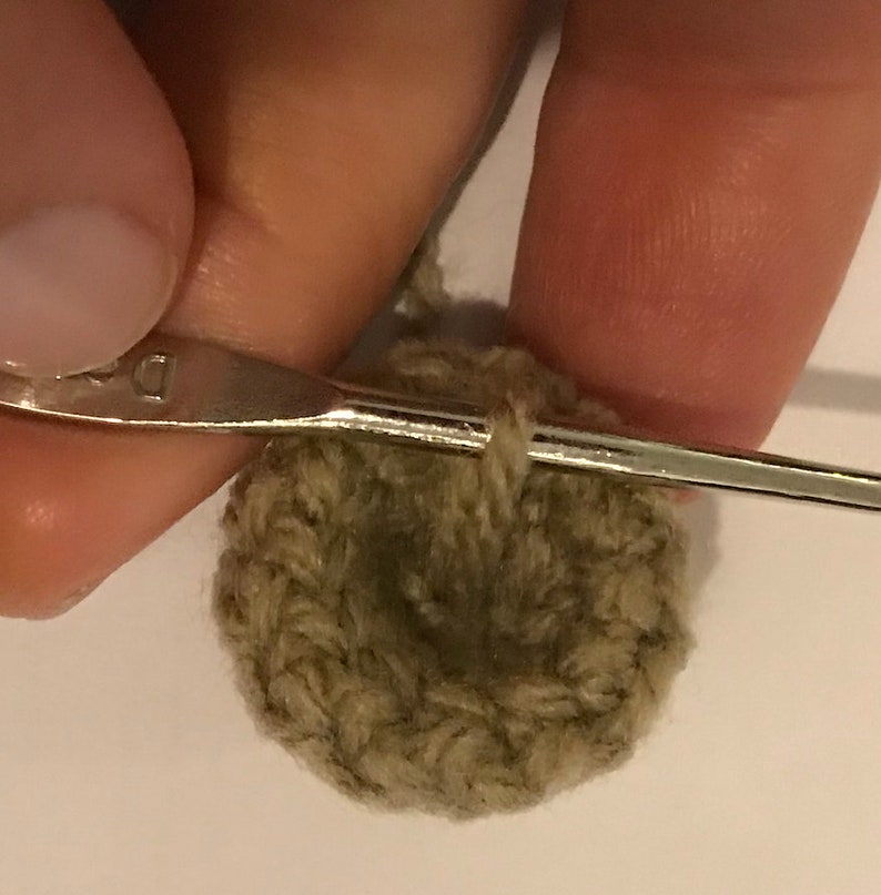 May include: A close-up of a crocheted circle in a muted green color. A crochet hook is threaded through the circle.