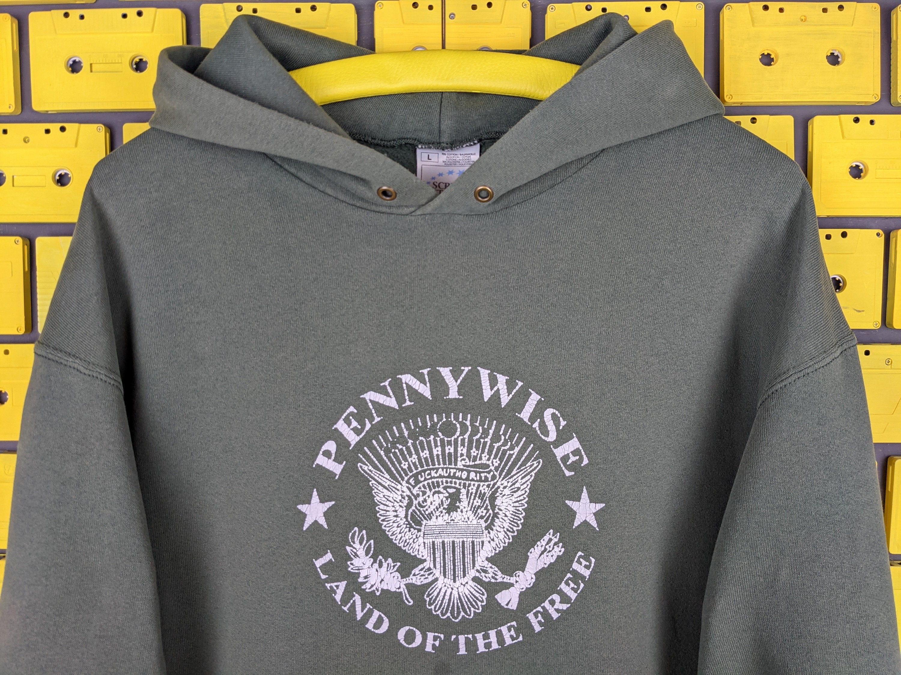 Vintage 2001 Pennywise Hoodie Land of the Free Album Promo Skate