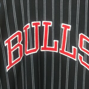 May include: Black and white striped jersey with the word "BULLS" in red with white outlining. The jersey has red and black sleeves.